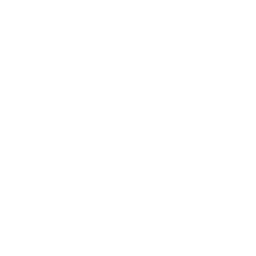 Smart Parking